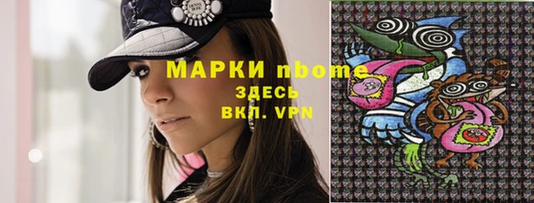стафф Елизово